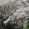 ♪黒崎城址♪
