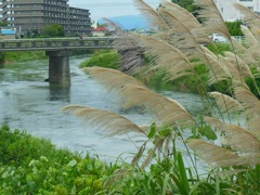 ♪浜松市曳馬の風景