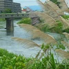 ♪浜松市曳馬の風景
