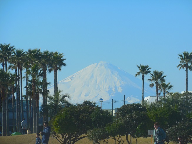 ♪巨大な富士山～辻堂海浜公園