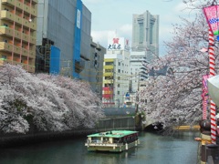 ♪横浜　大岡川♪