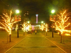♪イルミ45th　横浜アメリカ山公園♪　2014-12-10 WED