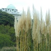 駒沢公園の秋景色^^