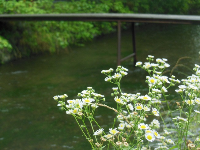 京都白川