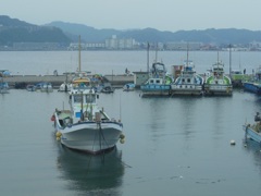 ★葉山漁港★