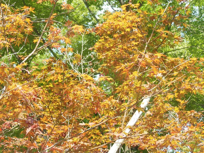 松任城址公園～石川県