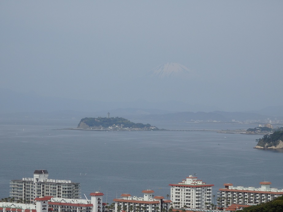♪薄ら富士と江の島～披露山公園