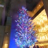 ☆銀座MIKIMOTO☆