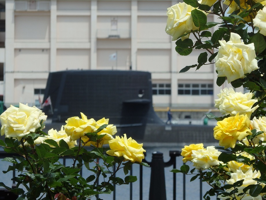 ♪薔薇と潜水艦～横須賀