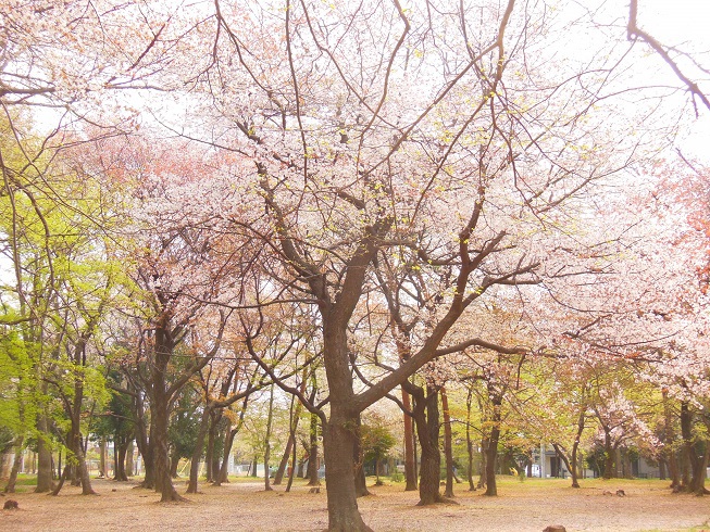 ♪茨城県守谷♪