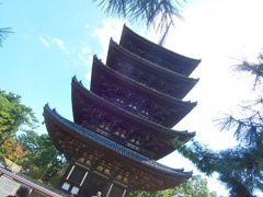 ♪興福寺の五重塔＾＾