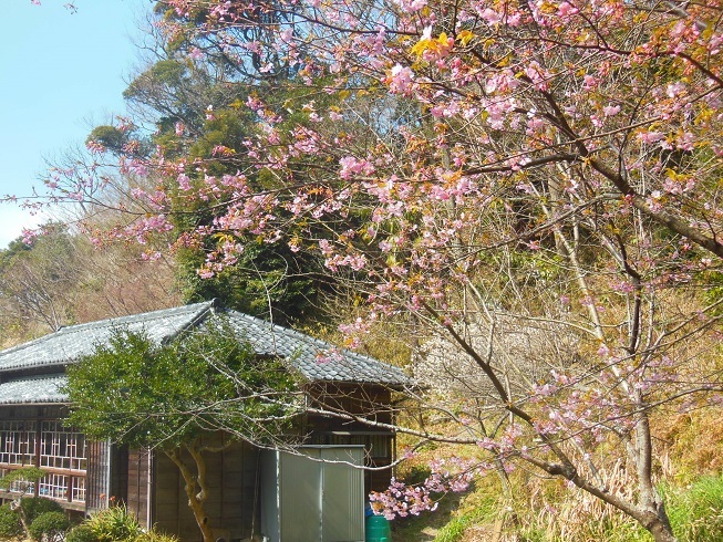 ♪逗子蘆花記念館＾＾