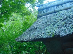 ♪東慶寺