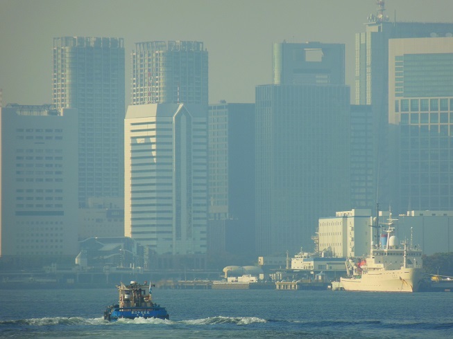 ♪東京湾