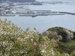 ♪逗子披露山公園からの景色＾＾