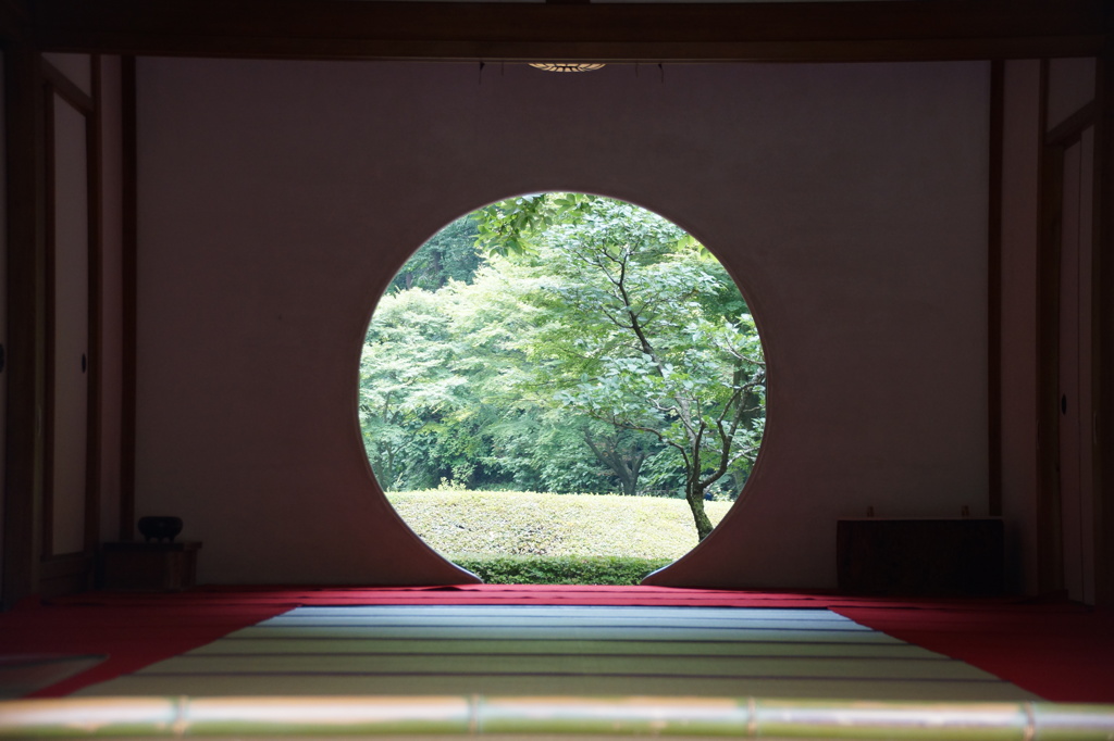 夏の明月院