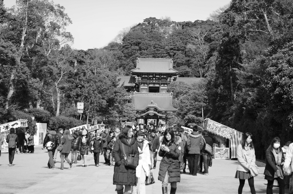 鎌倉　鶴岡八幡宮