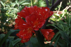 DSCF3294