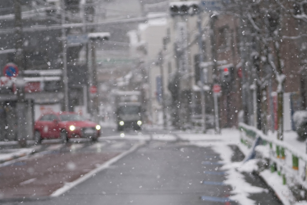 花の東京に雪が降る