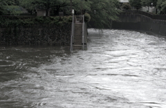 雷雨の後