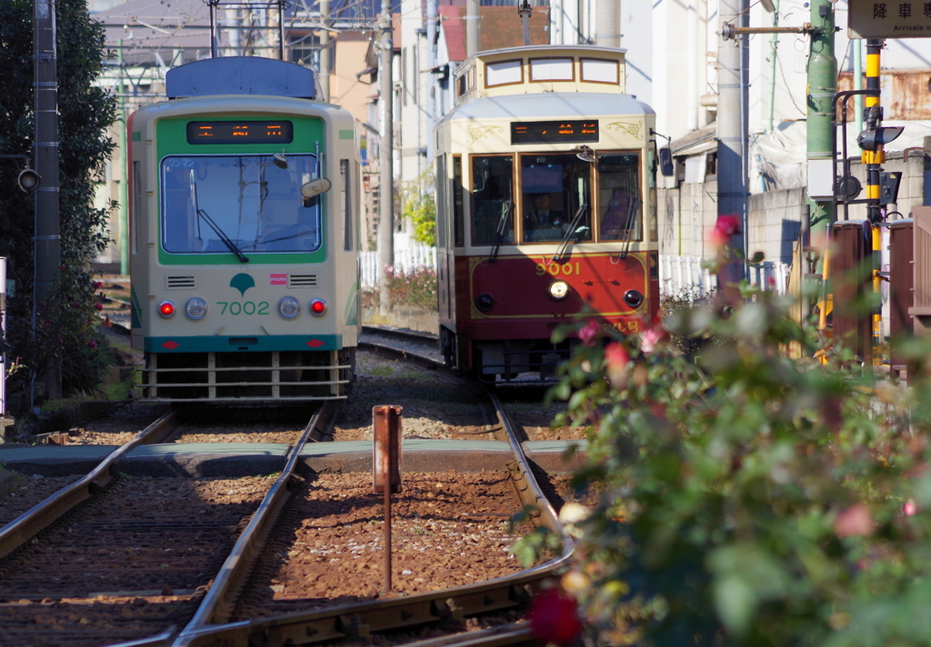 都電荒川線　①