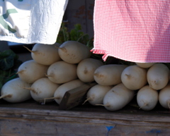 そ~だ 三浦半島に行こう!② そ~だ 三浦半島に行こう!②