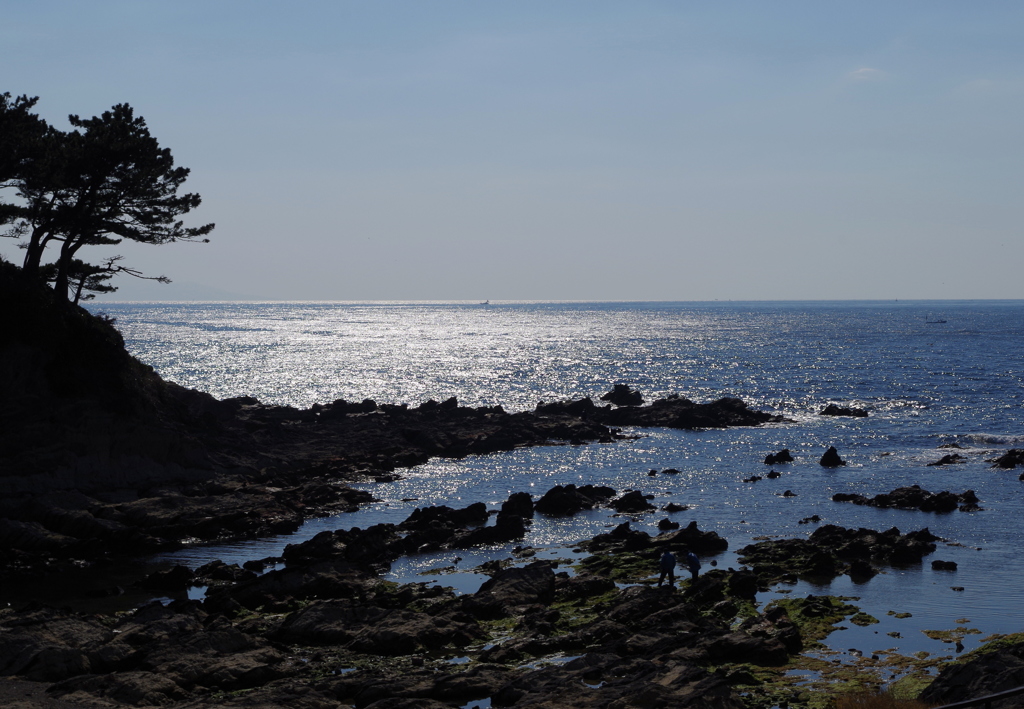 荒崎海岸①