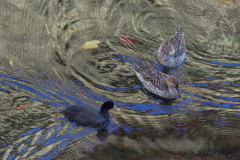 お晩でやす　(//∇//)