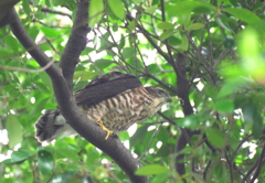 成長記録　７/７　その２