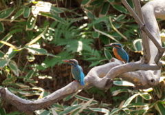 微妙な距離感　１