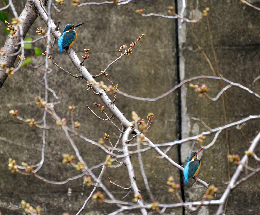 土木作業　ひと休み