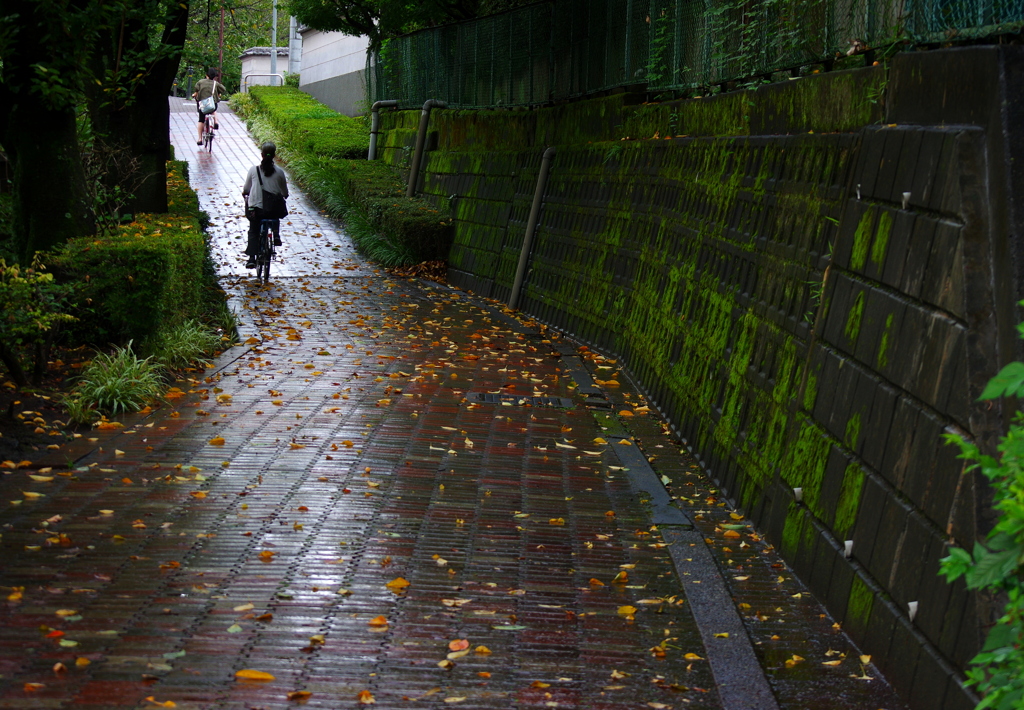 目まぐるしい天気
