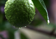 寒い雨の日は・・・