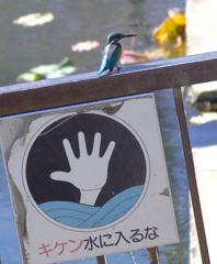 Don't worry 　!!(^^