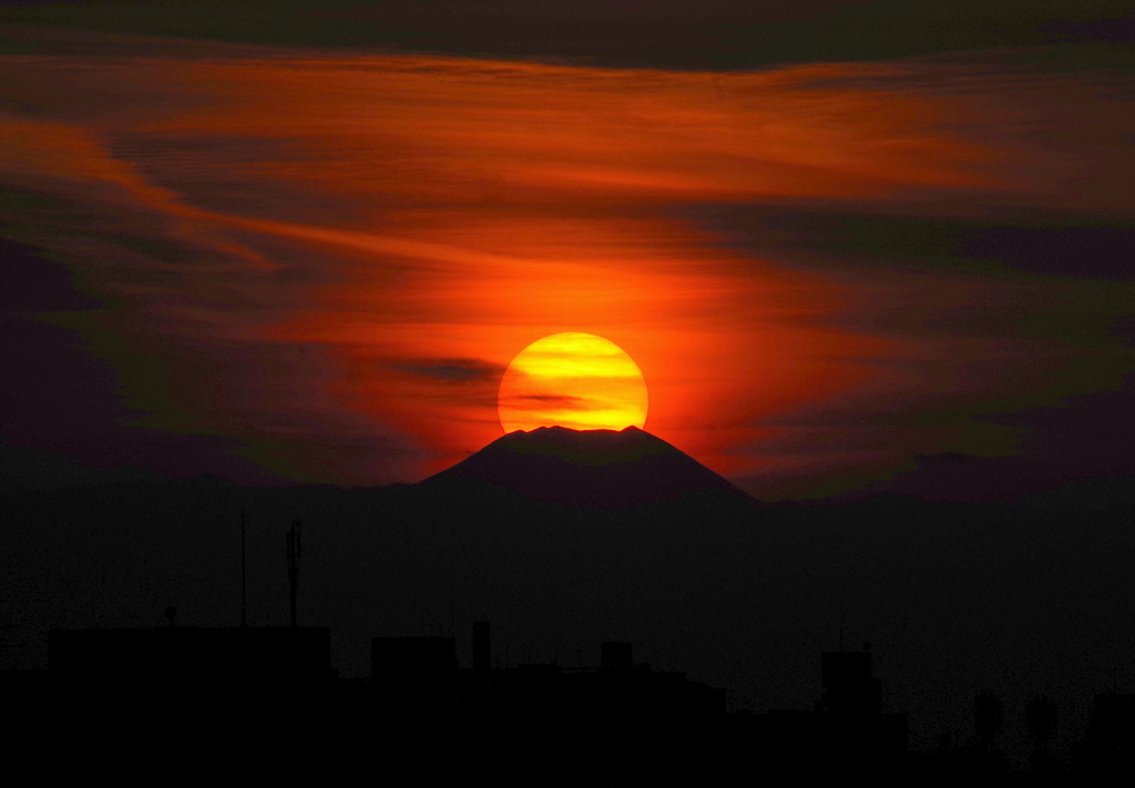 今日のＤ富士
