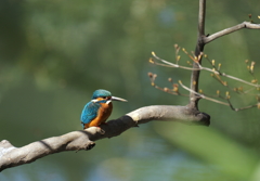 今日は、ひとりぼっち　(T＿T)