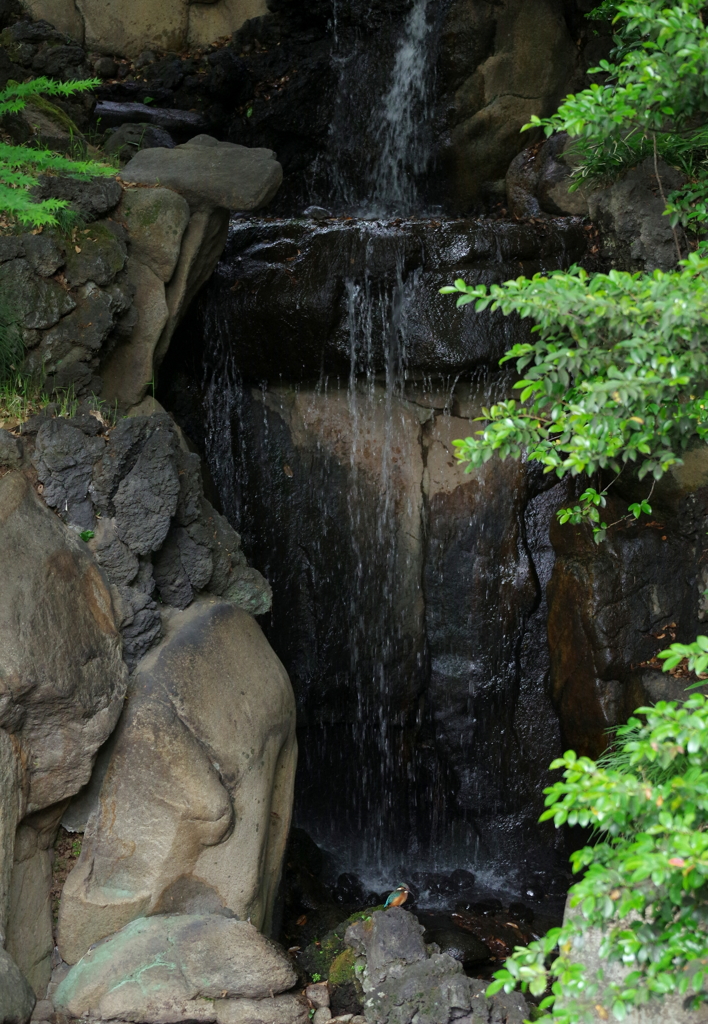 ポツンと一羽！