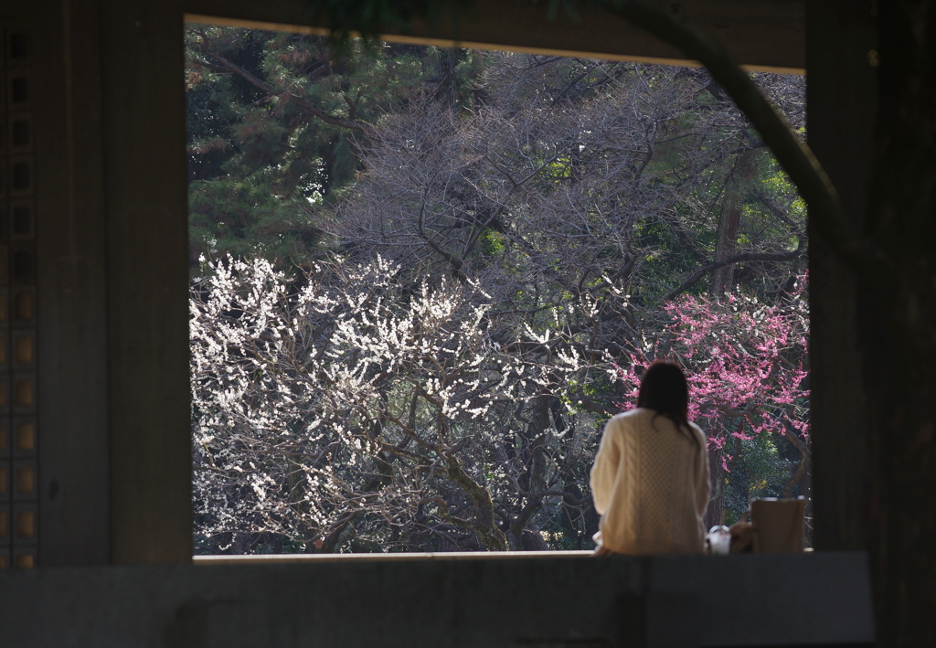 望　春　