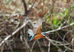 Over my capacity　１