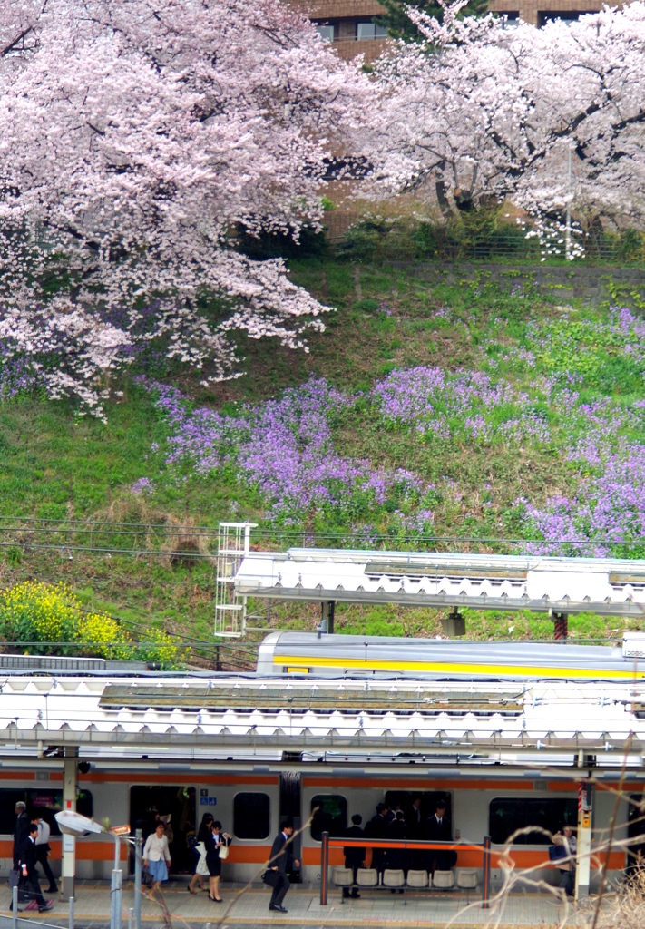 通勤日和