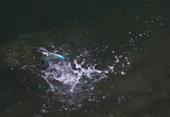 若君　水練中　２