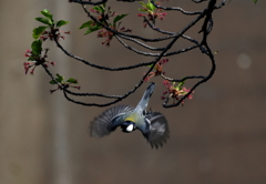 My wallet？？？(T＿T)