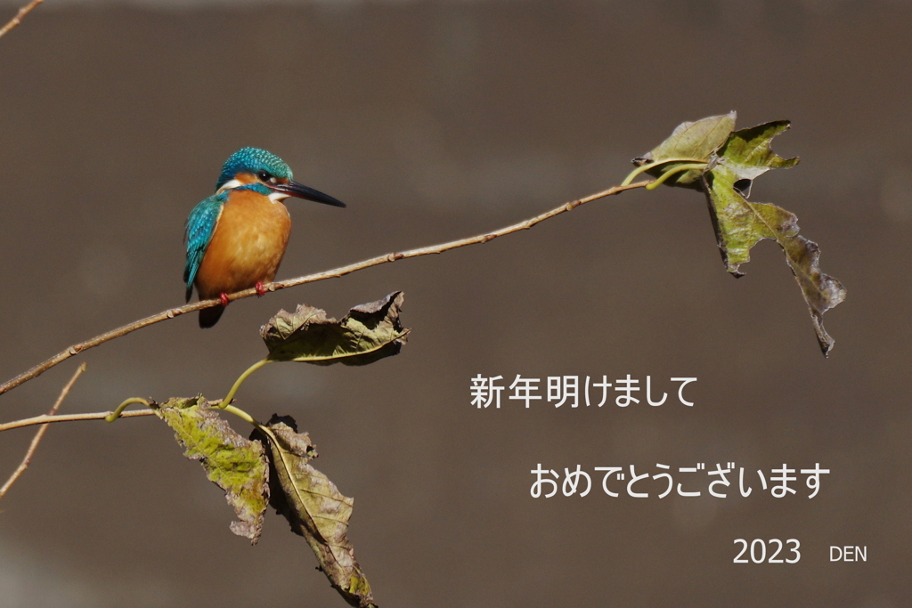 ご挨拶