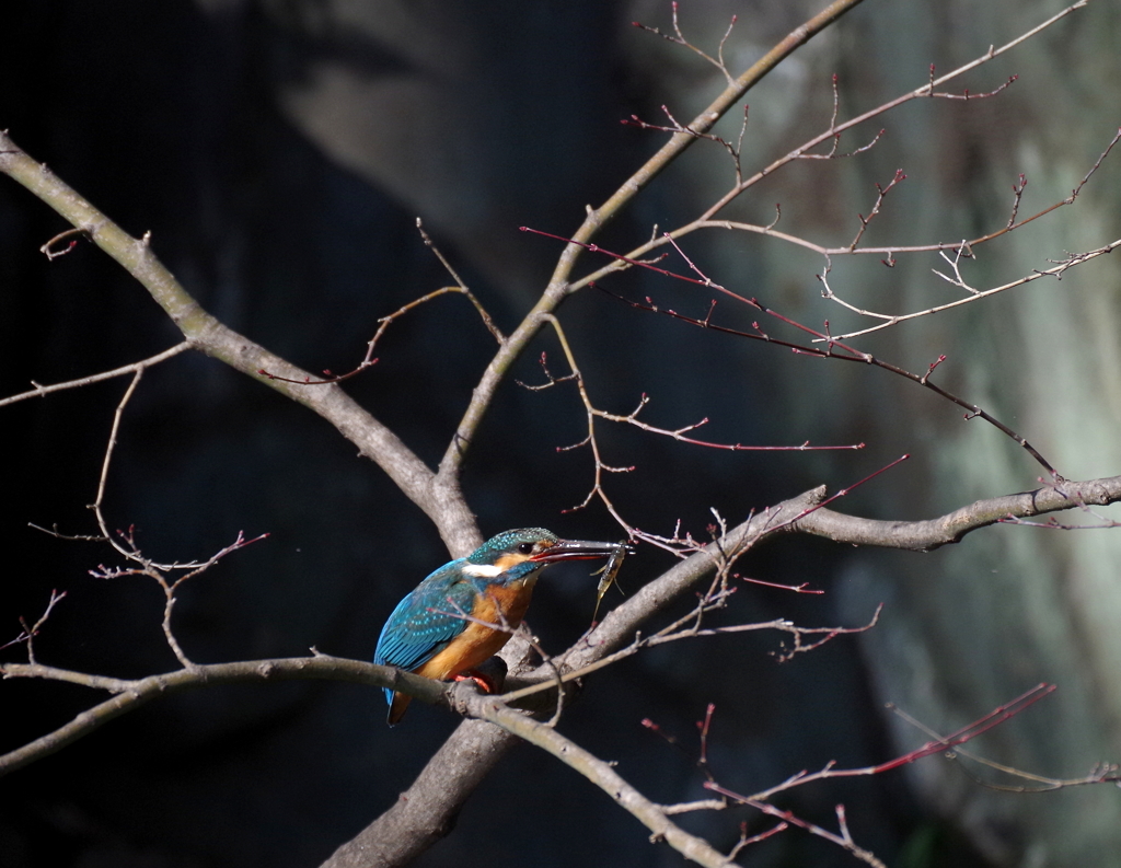 まっ　いいか！