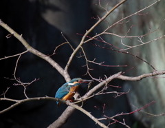 まっ　いいか！