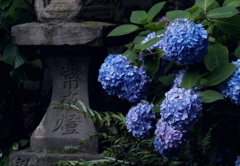 常夜燈