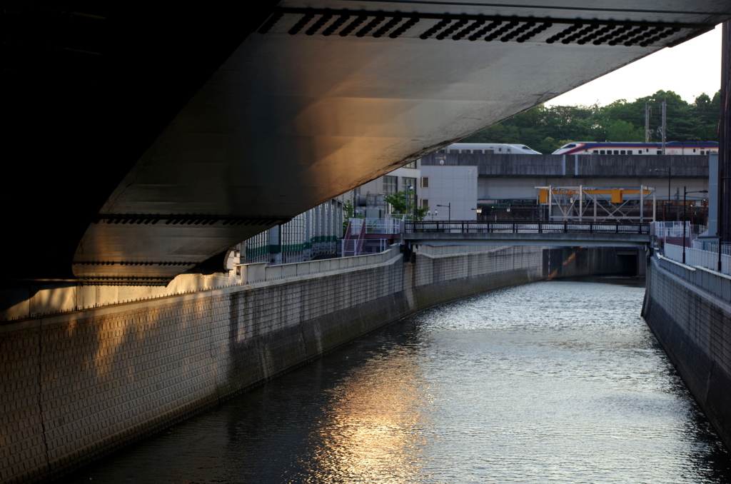 東京の川