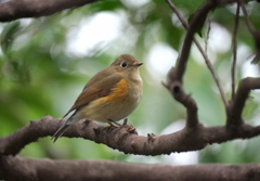 ちょいと寒いわね！