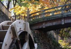 我が街の紅葉　２