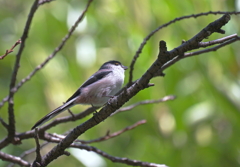 強風にも負けず！